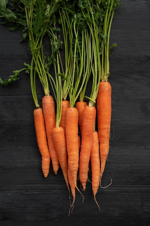 Carrots gallery