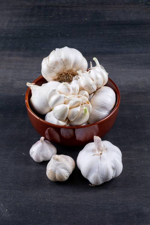 Garlic gallery