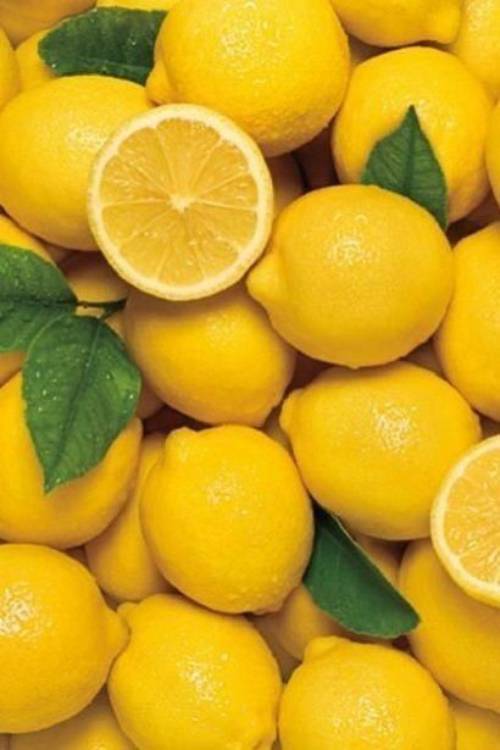 Lemon (1)