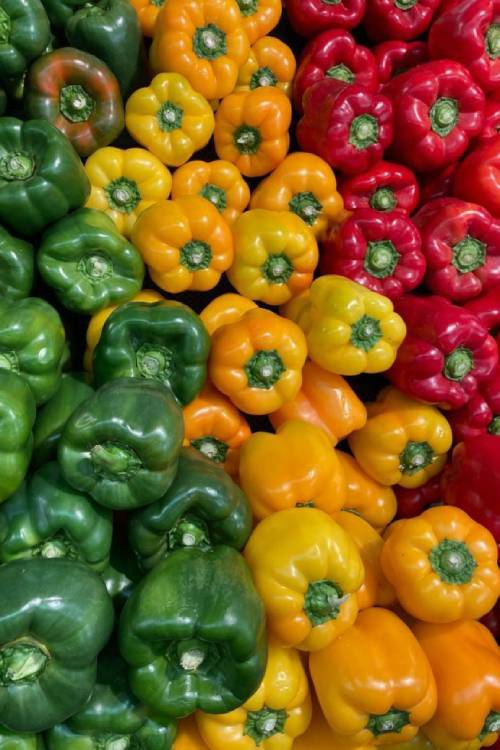 Peppers (2)